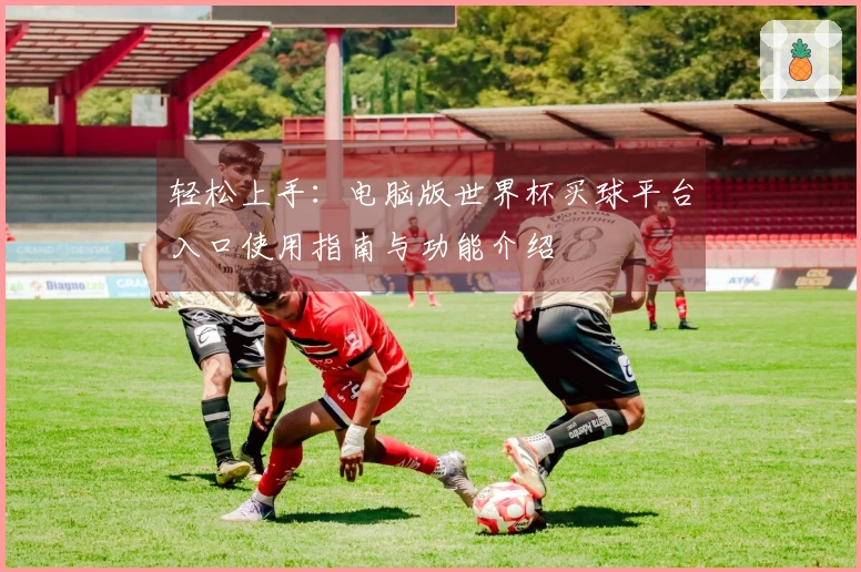 轻松上手：电脑版世界杯买球平台入口使用指南与功能介绍
