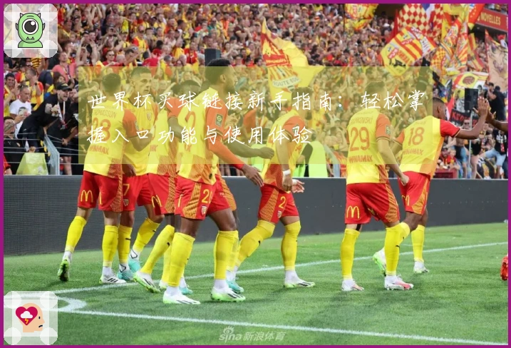 世界杯买球链接新手指南：轻松掌握入口功能与使用体验
