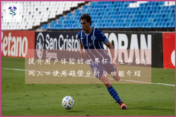 提升用户体验的世界杯投注平台官网入口使用趋势分析与功能介绍