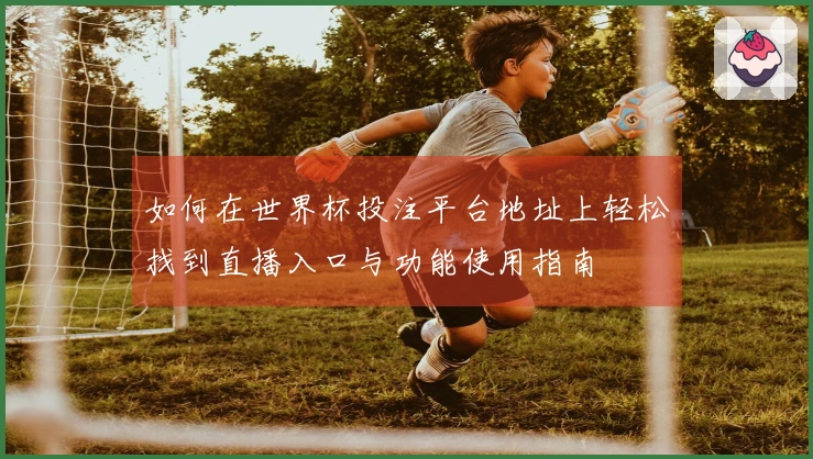 如何在世界杯投注平台地址上轻松找到直播入口与功能使用指南