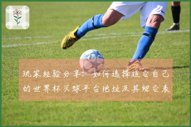 玩家经验分享：如何选择适合自己的世界杯买球平台地址及其综合表现分析