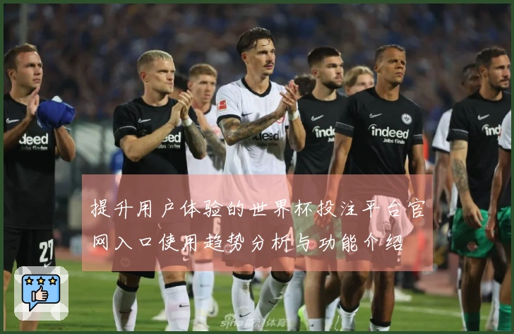 提升用户体验的世界杯投注平台官网入口使用趋势分析与功能介绍