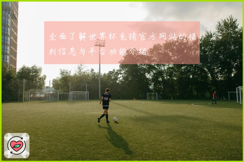 全面了解世界杯竞猜官方网站的福利信息与平台功能介绍