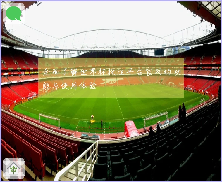 全面了解世界杯投注平台官网的功能与使用体验