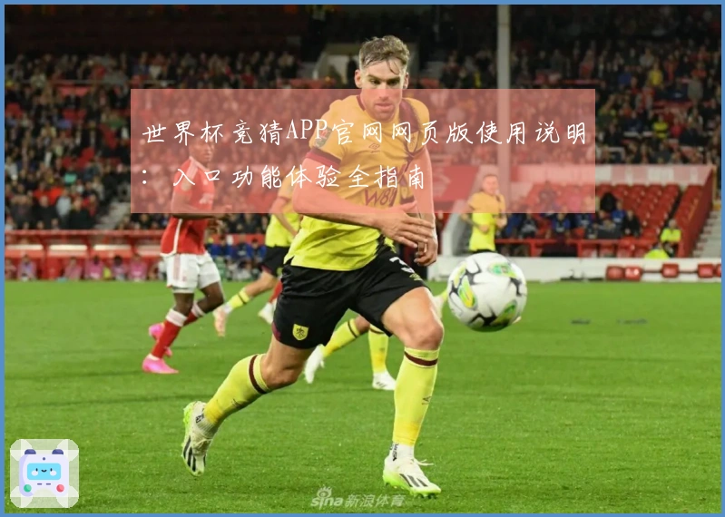 世界杯竞猜APP官网网页版使用说明：入口功能体验全指南
