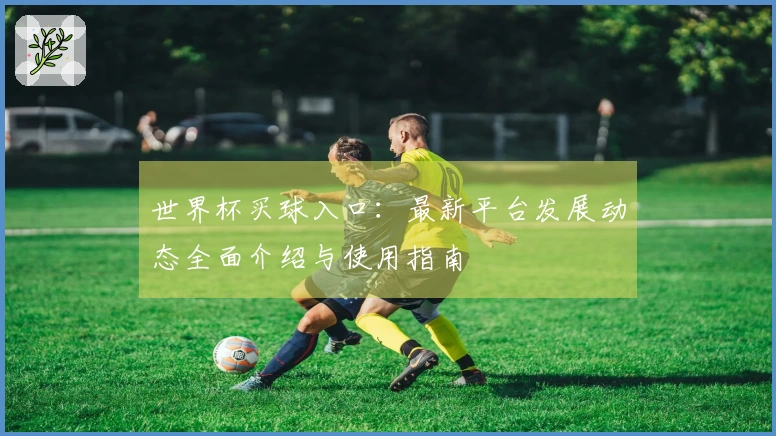 世界杯买球入口：最新平台发展动态全面介绍与使用指南