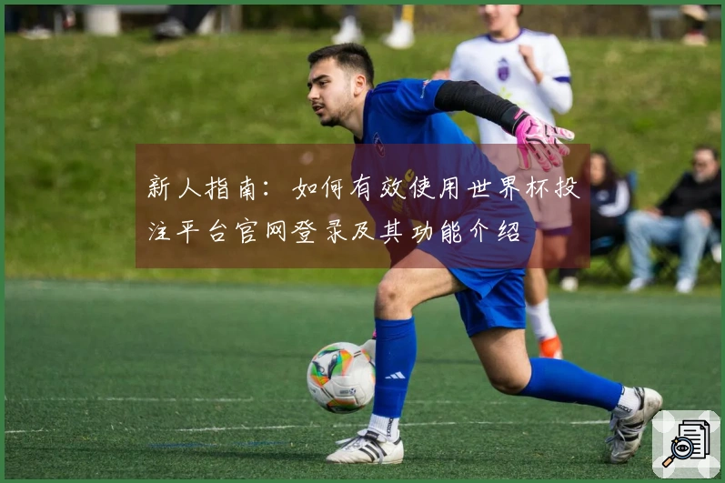 新人指南：如何有效使用世界杯投注平台官网登录及其功能介绍