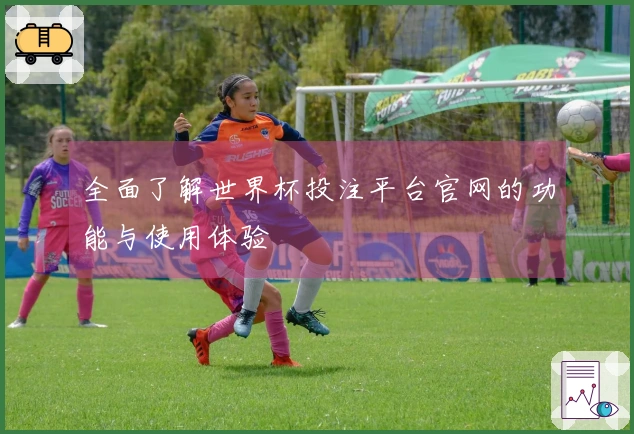 全面了解世界杯投注平台官网的功能与使用体验
