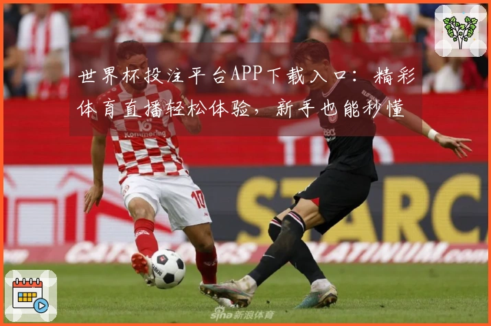 世界杯投注平台APP下载入口：精彩体育直播轻松体验，新手也能秒懂上手教程