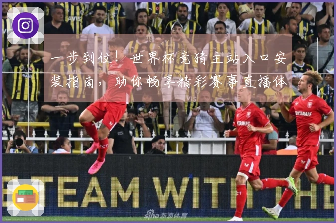 一步到位！世界杯竞猜主站入口安装指南，助你畅享精彩赛事直播体验