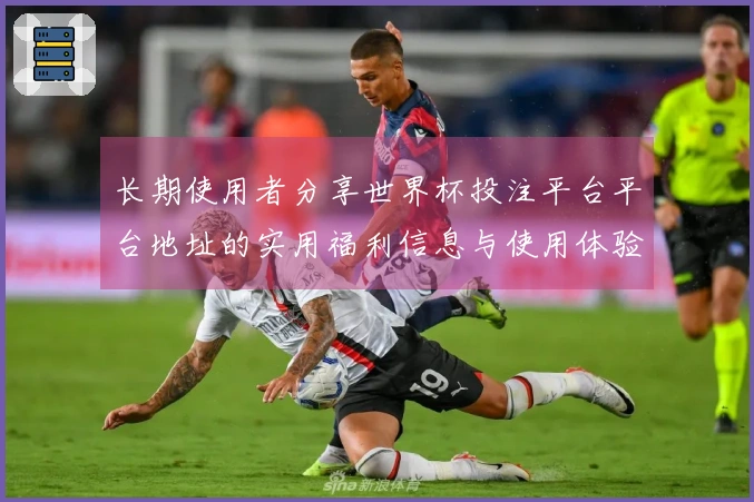 长期使用者分享世界杯投注平台平台地址的实用福利信息与使用体验